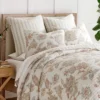 Selesta Blush Euro Sham Set Of 2 - Levtex Home -Levtex Home Shop GUEST 2c07202e 5dbb 487d 9f5b 8ec8405735d1