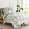 Kemala Sage Euro Sham Set Of 2 - Levtex Home -Levtex Home Shop GUEST 42983cfc 2b88 4748 8361 caff04b2fd85