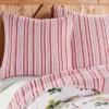 Joybirds Holiday Euro Sham Set Of 2 Red - Thatch Home -Levtex Home Shop GUEST efd18144 26e1 4157 a332 22514488d54f
